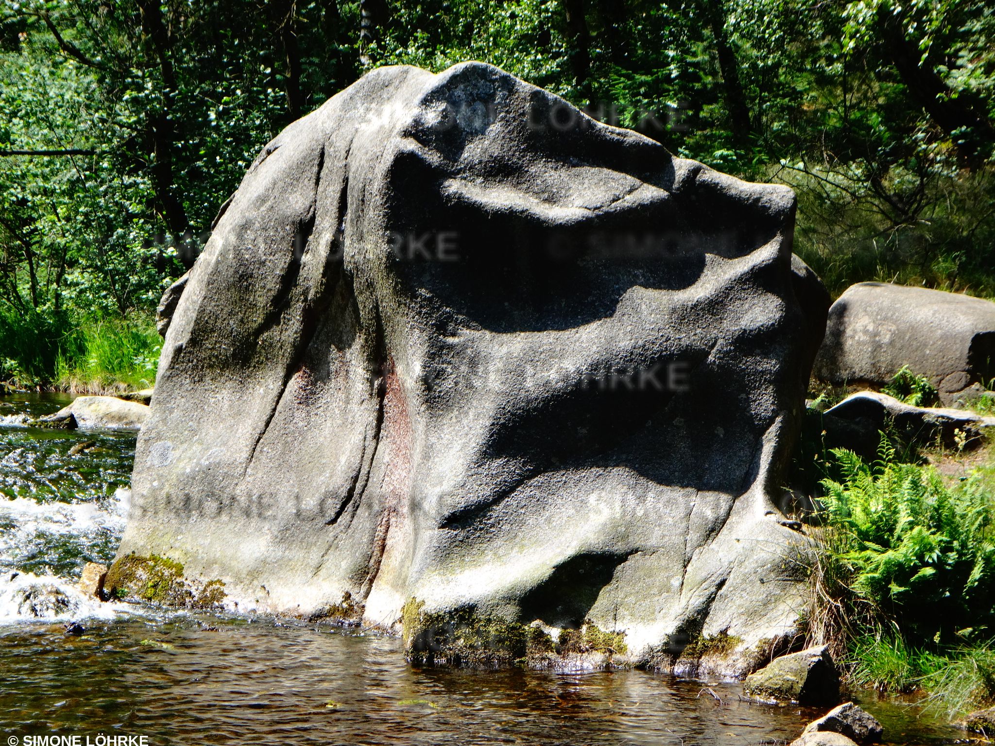 DSC04310