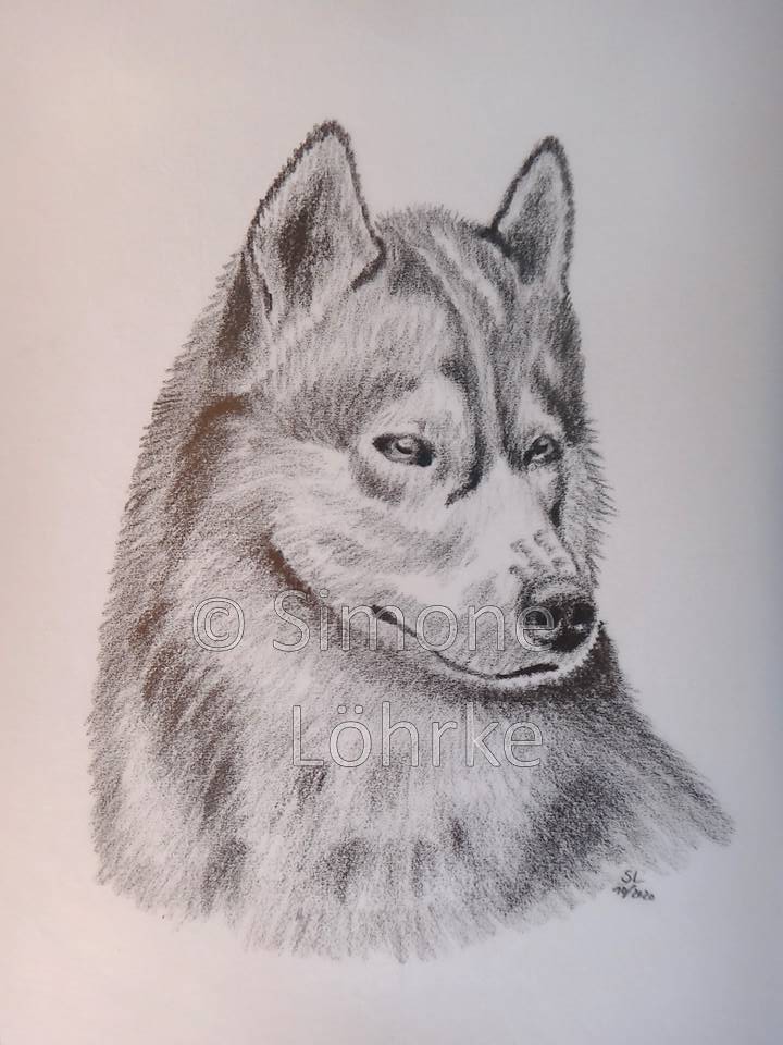 Spike