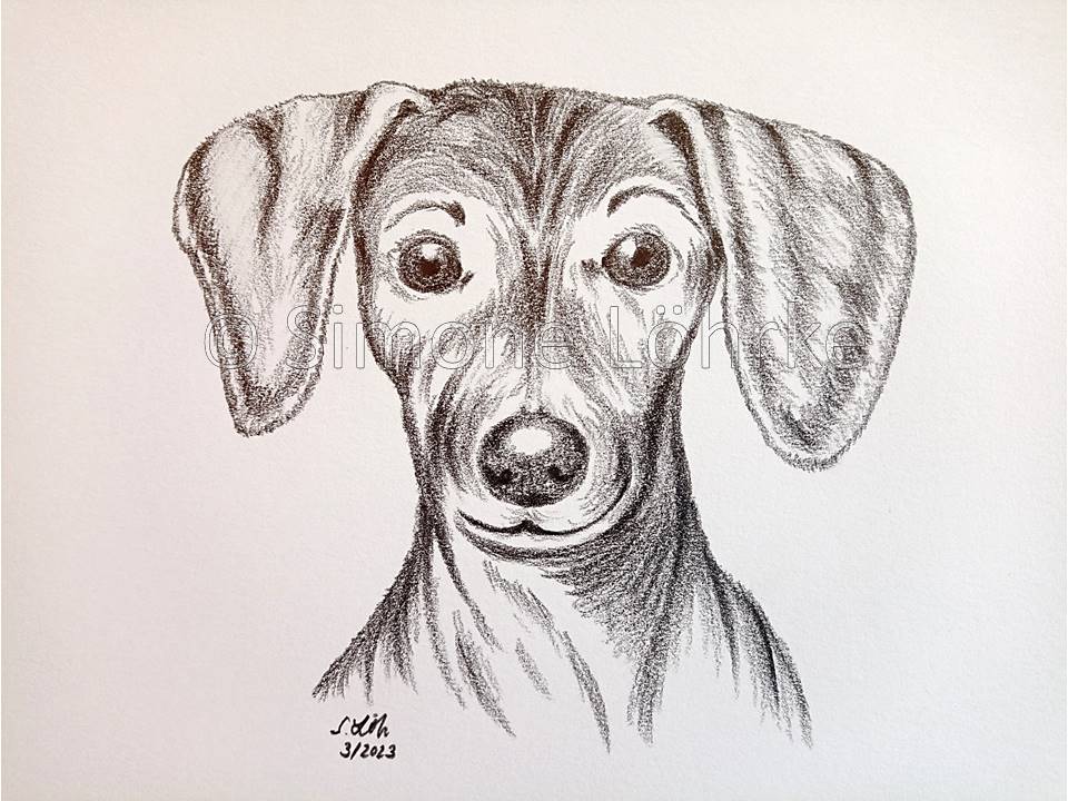 Stella 1