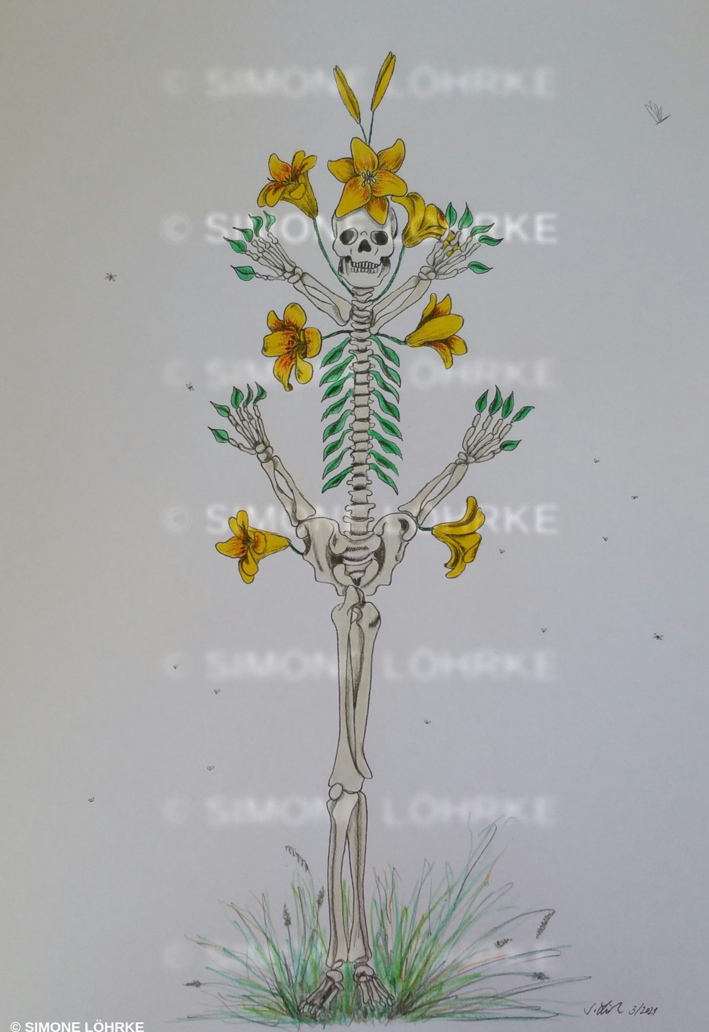 Skelettblume
